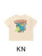 KN