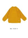 MS